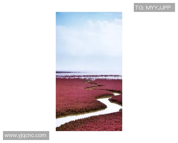 一场跌宕起伏的比赛最终以双方平分秋色的比分收场，激战持续至最后一刻