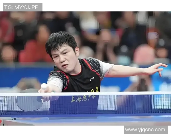 乒乓球运动员成长之路：从小球场到国际舞台的奋斗与荣耀