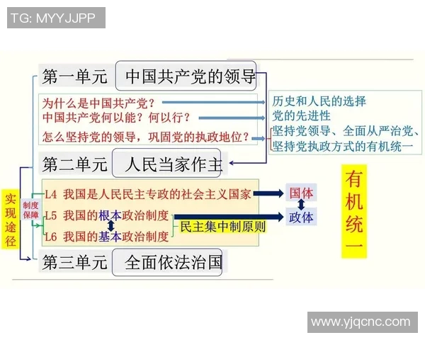 选举制度改革对国家民主发展与公民参与的深远影响分析