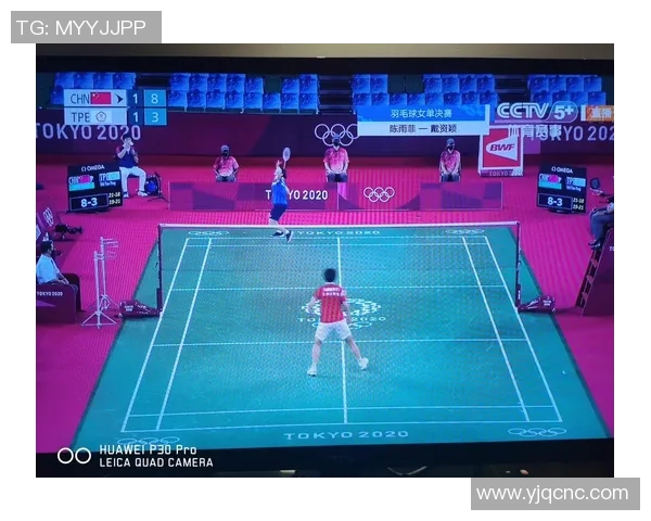 南京羽毛球队战术表现深度分析及数据解读探索