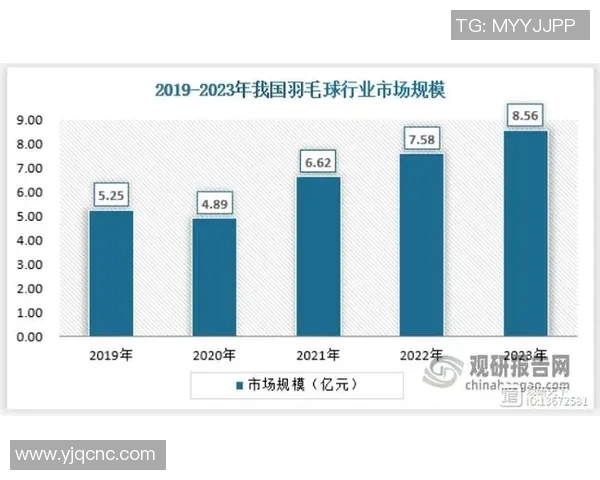 中国羽毛球运动员的崛起与发展：从传统强国到国际竞技舞台的领军人物