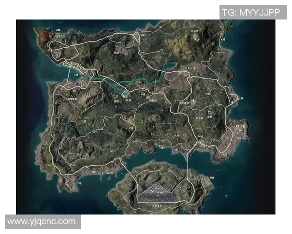 和平精英战场上的默契配合WE战队团队协作的深度解析与探讨