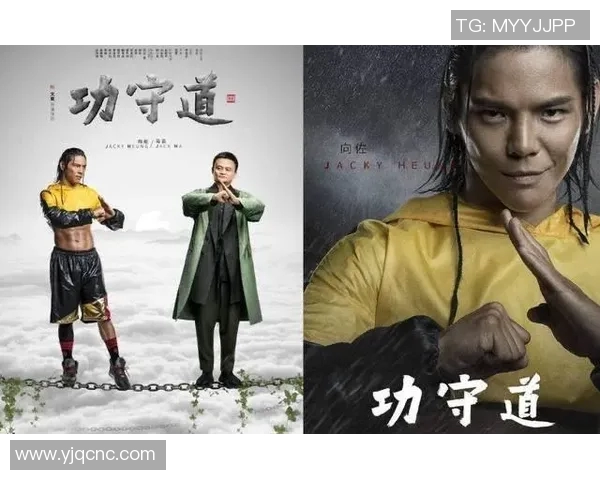杨娜独家分享排球心得与技巧提升之道助你成为场上明星